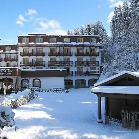 Hotel Alpenhotel Weitlanbrunn 4*