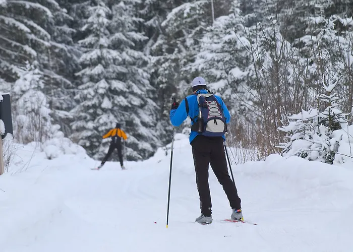 Hotell Alpenhotel Weitlanbrunn Sillian