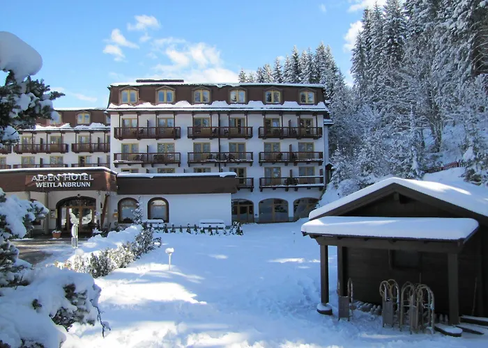 Hotel Alpenhotel Weitlanbrunn 4*
