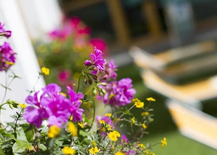 Hotel Alpenhotel Weitlanbrunn Sillian