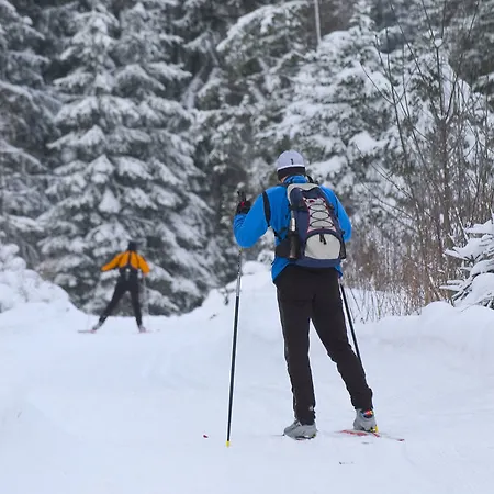 מלון Alpenhotel Weitlanbrunn סיליאן