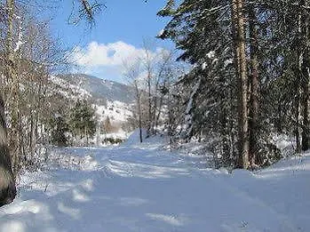 מלון Alpenhotel Weitlanbrunn סיליאן