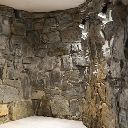 Alpenhotel Weitlanbrunn מלון סיליאן