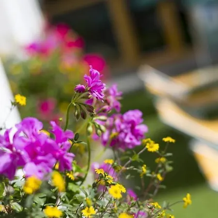Otel Alpenhotel Weitlanbrunn Sillian